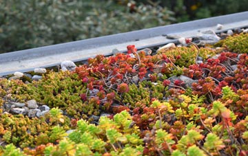 the cost of Doe Bank green roof installation