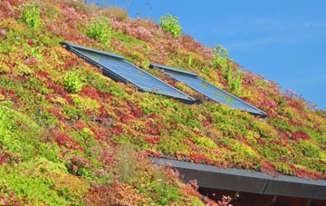 Doe Bank living roof systems